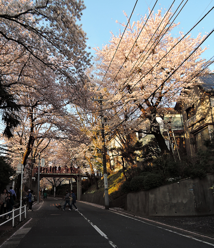 150402170821_19.jpg
