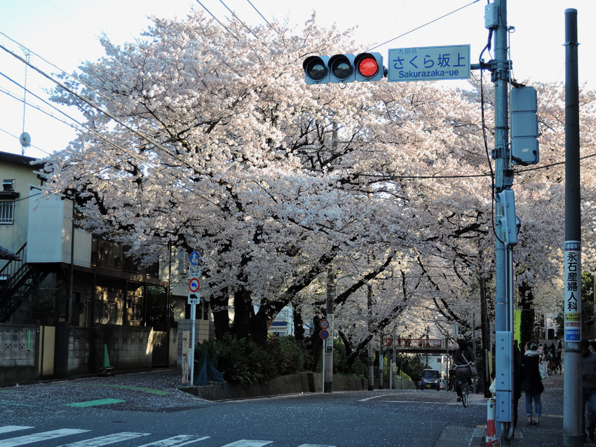 150402171104_05.jpg