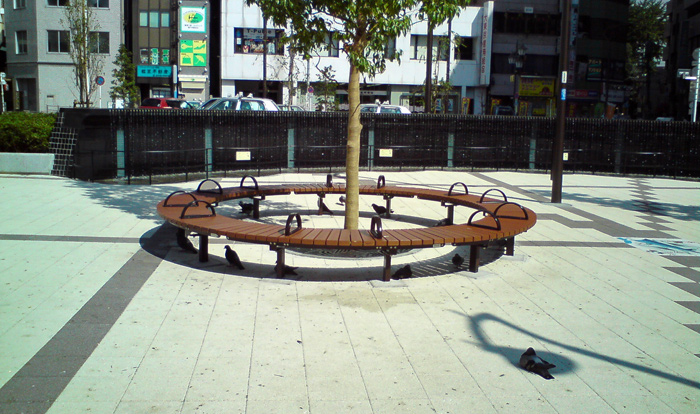 DSC00268.jpg